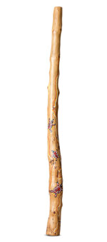 Heartland Didgeridoo (HD438)